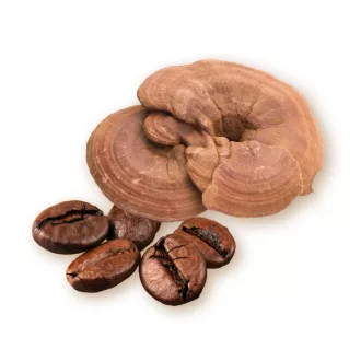 Caleido Arabica- und Ganoderma-Kaffee 50 g Produktbild