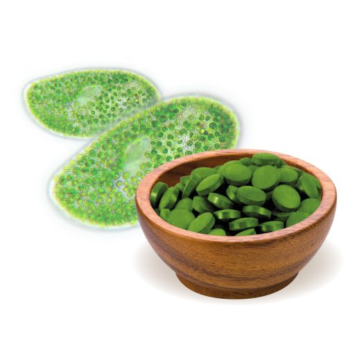 BioMenü Bio Chlorella-Algen-Tabletten 250 g Rohmaterial