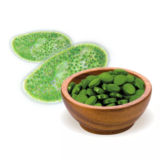 BioMenü Bio Chlorella-Algen-Tabletten 250 g Rohmaterial