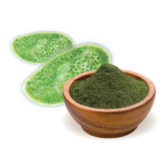 BioMenü Bio Chlorella-Algenpulver 125 g Produktbild