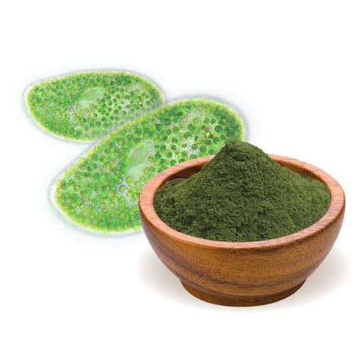 BioMenü Bio Chlorella-Algenpulver 250 g Rohmaterial