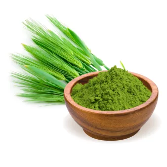 BioMenü Bio Gerstengras-Pulver 125 g Produktbild