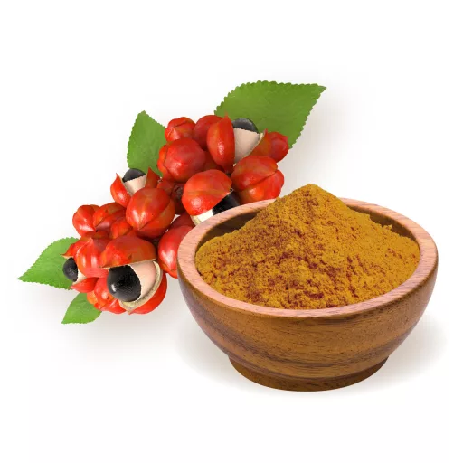 BioMenü Bio Guarana-Pulver 60 g Rohmaterial