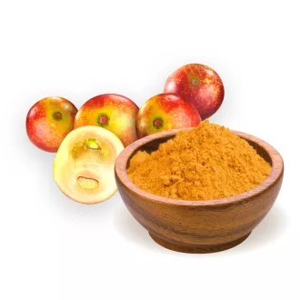 BioMenü Bio Camu-Camu-Pulver 60 g Produktbild