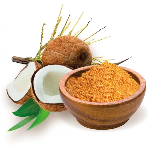 BioMenü Bio Kokoszucker 500 g Rohmaterial