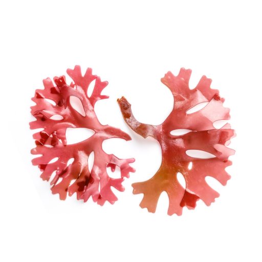 Caleido Astaxanthin Gelkapseln 60 Stk Rohmaterial