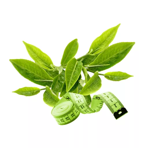 Caleido GreenSlim Grüner Tee Kapseln 90 Stk