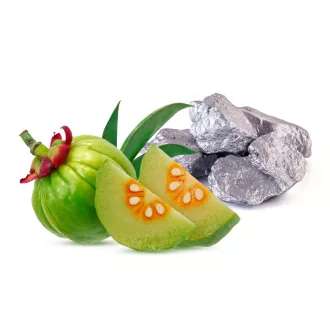 Caleido Garcinia Cambogia + Chrom Kapseln 60 Stk Produktbild
