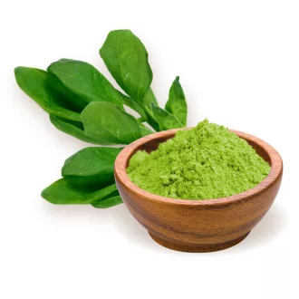 BioMenü Bio Spinatpulver 125 g Produktbild