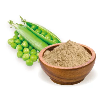 BioMenü Bio Erbsenprotein-Pulver 400 g Produktbild