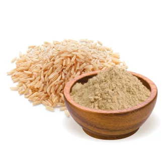BioMenü Bio Reisprotein-Pulver 400 g Produktbild