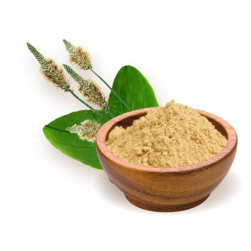 BioMenü Bio Wegerich-Kernschalenmehl 125 g Rohmaterial