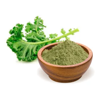 BioMenü Bio Grünkohlpulver 125 g Produktbild