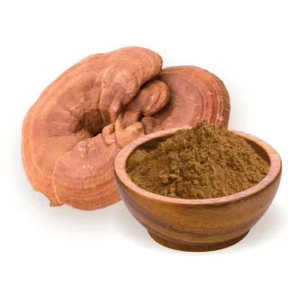 BioMenü Bio Ganoderma-Pilzpulver 100 g Produktbild