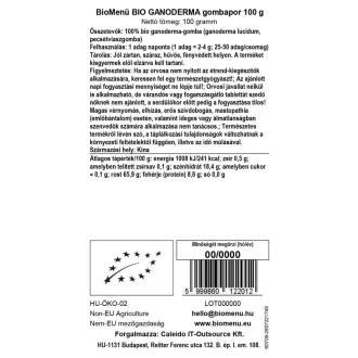BioMenü Bio Ganoderma-Pilzpulver 100 g Produktbild