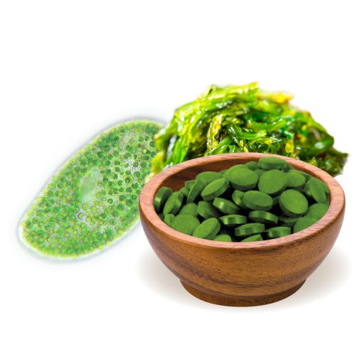 BioMenü Bio Chlorella- und Spirulina-Algen-Tabletten 125 g Rohmaterial