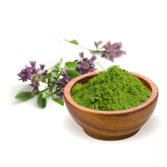 BioMenü Bio Luzerne-Pulver 125 g Produktbild