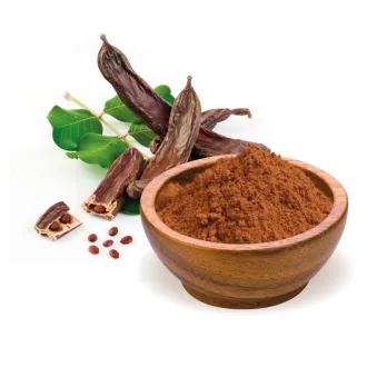 BioMenü Bio Carob-Pulver 125 g Produktbild