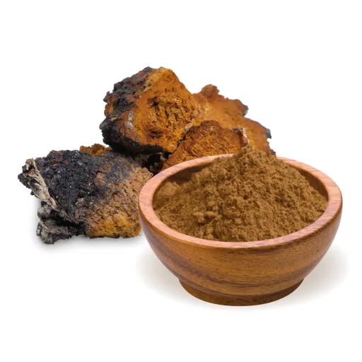BioMenü Bio Chaga-Pilzpulver 100 g Rohmaterial