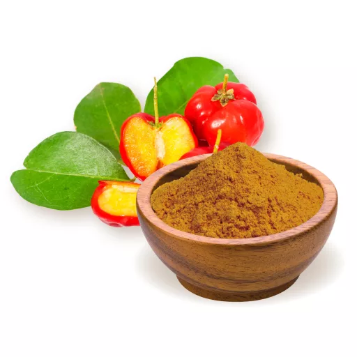 BioMenü Bio Acerola-Beeren-Pulver 60 g Rohmaterial