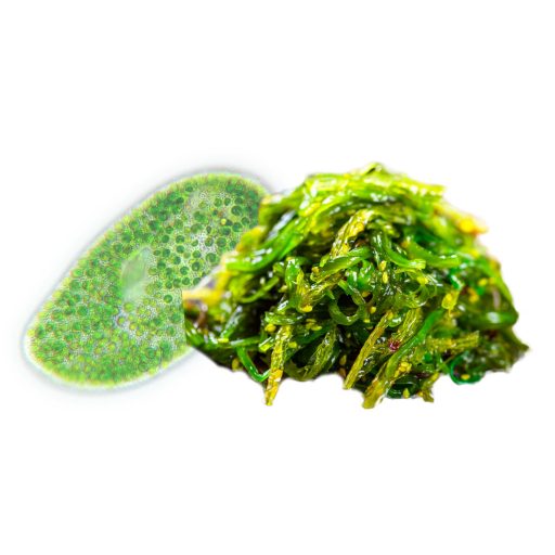 BioMenü Bio Chlorella- und Spirulina-Algen-Kapseln 60 Stk Rohmaterial