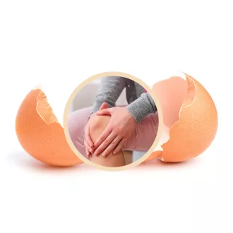 Caleido Eierschalenmembran Kapseln 60 Stk Produktbild