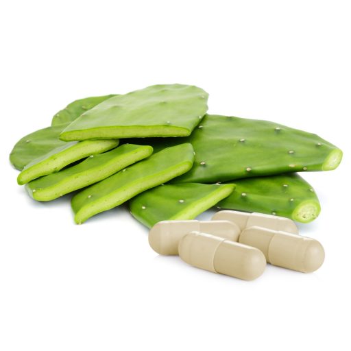 Caleido Feigenkaktus + Prebiotikum Kapseln 60 Stk Rohmaterial