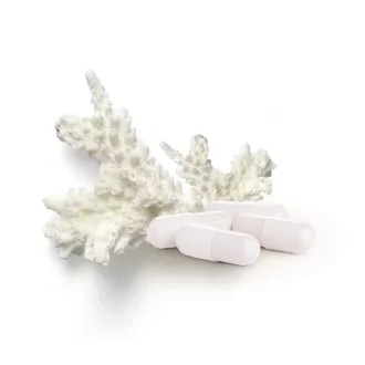 Caleido Okinawa Korallenkalzium Kapseln 60 Stk Produktbild