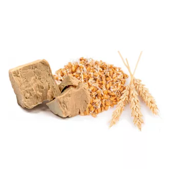 Caleido Backhefe + Weizenkeime Tabletten 90 Stk Produktbild