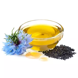 BioMenü Bio Schwarzkümmelöl 100 ml Produktbild
