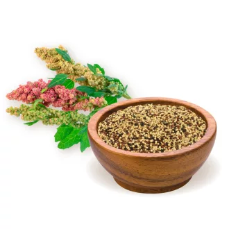 BioMenü Bio QUINOA trikolor samenmischung 250 g Produktbild