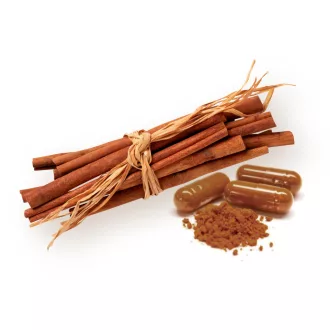 BioMenü Bio Ceylon-Zimt-Kapseln 60 Stk Produktbild