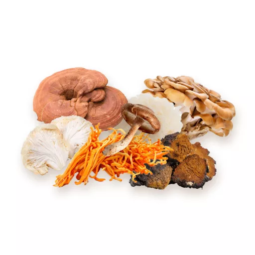 BioMenü Bio 7-Pilz-Mischung Kapseln 60 Stk Rohmaterial