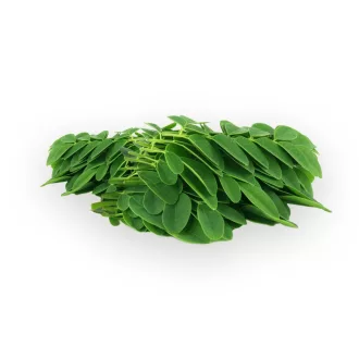 BioMenü Bio Moringa Kapseln 60 Stk Produktbild