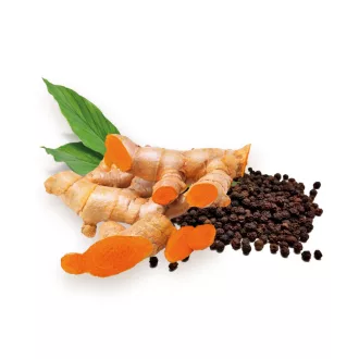 BioMenü Bio Kurkuma + Schwarzer Pfeffer Kapseln 60 Stk Produktbild