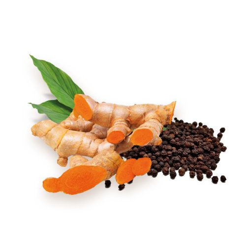 BioMenü Bio Kurkuma + Schwarzer Pfeffer Kapseln 60 Stk Rohmaterial