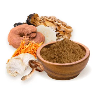 BioMenü Bio 7-PILZE mischung pulver 100 g Produktbild