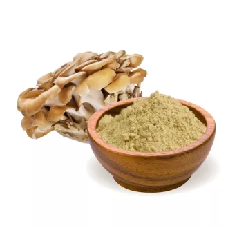 BioMenü Bio Maitake-Pilzpulver 100 g Produktbild