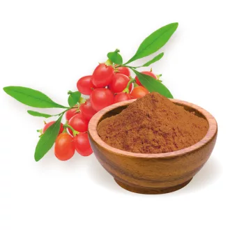 BioMenü Bio Goji-Beerenpulver 60 g NAHE AM VERFALLSDATUM