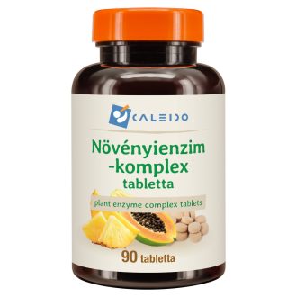 Caleido Pflanzenenzym-Komplex Tabletten 90 Stk Produktbild
