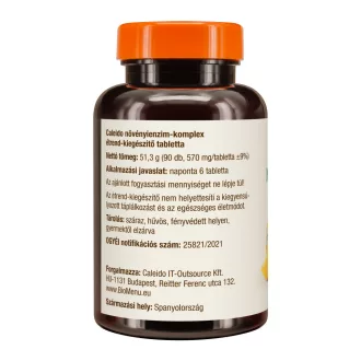 Caleido Pflanzenenzym-Komplex Tabletten 90 Stk Produktbild