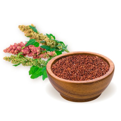 BioMenü Bio Quinoa-Samen rot 250 g Rohmaterial