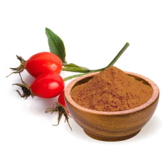 BioMenü Bio Hagebutten-Pulver 125 g Produktbild