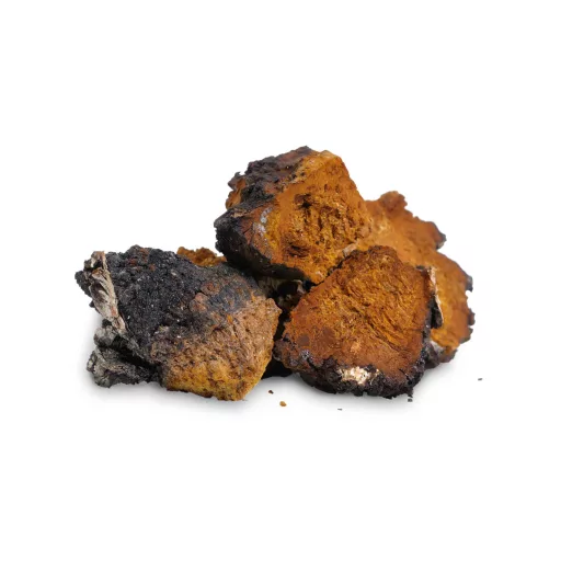 BioMenü Bio Chaga-Pilzkapseln 60 Stk Rohmaterial