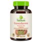 BioMenü Bio Ganoderma-Pilzkapseln 60 Stk Produktbild