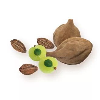BioMenü Bio Triphala Kapseln 60 Stk Produktbild