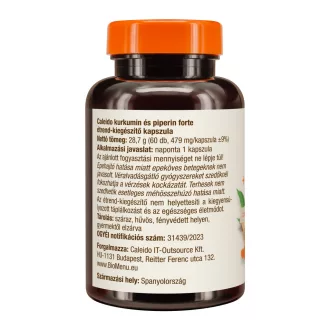 Caleido Kurkumin + Piperin Forte Kapseln 60 Stk Produktbild