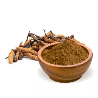 BioMenü Bio Cordyceps sinensis-Pilzpulver 100 g Produktbild