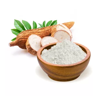 BioMenü Bio Tapiokamehl 500 g Produktbild