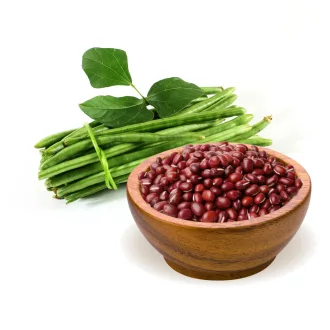 BioMenü Bio Adzukibohnen 500 g Produktbild